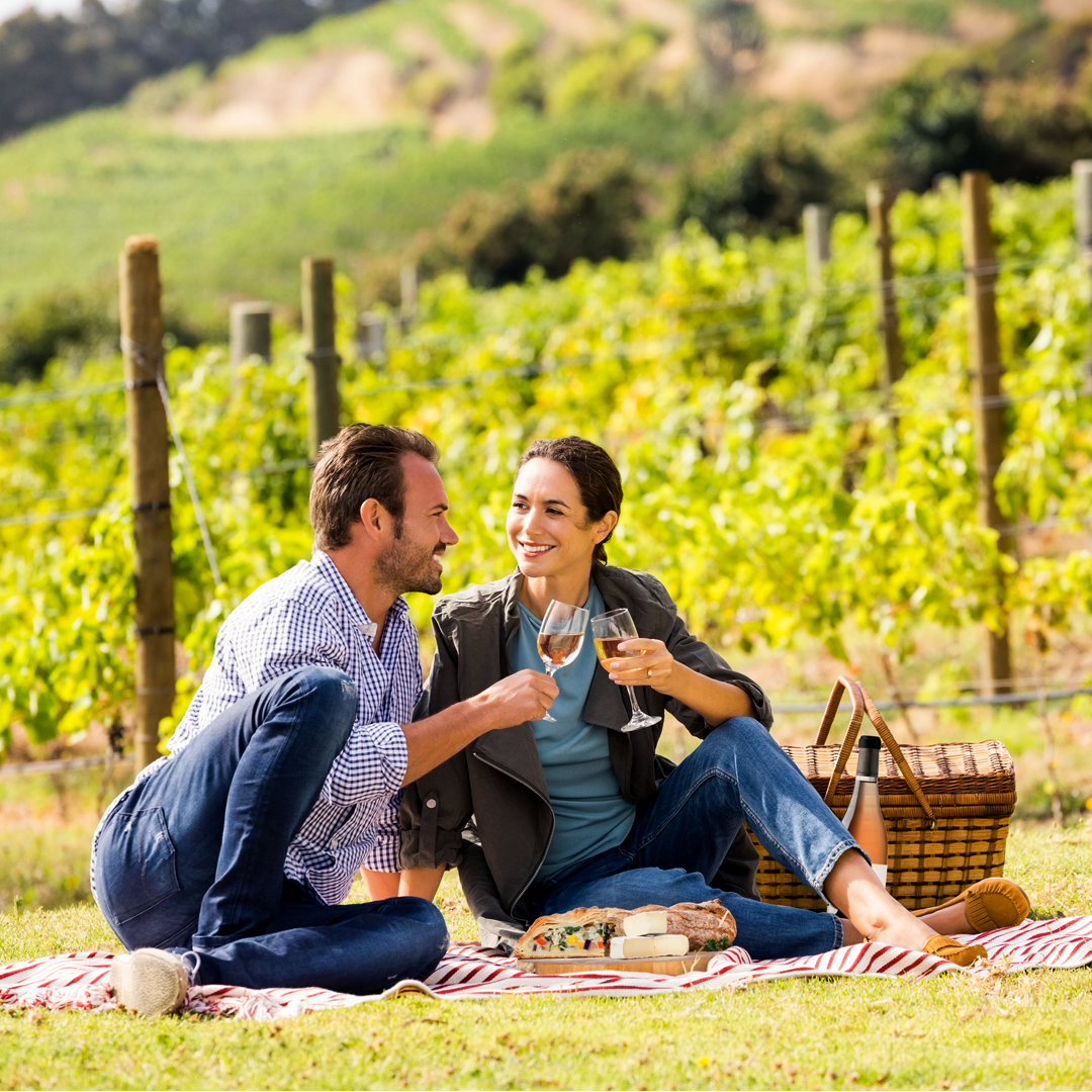 pic nic in vigna